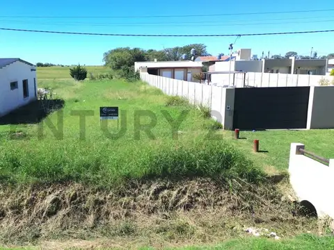 Mucho más que un lote: 49 metros de fondo para el proyecto de tus sueños en Murphy.
