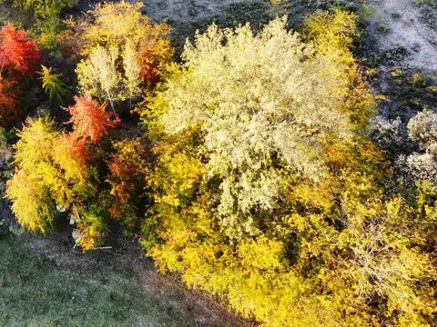 Terreno en Venta en Los Cardales, USD 20.000