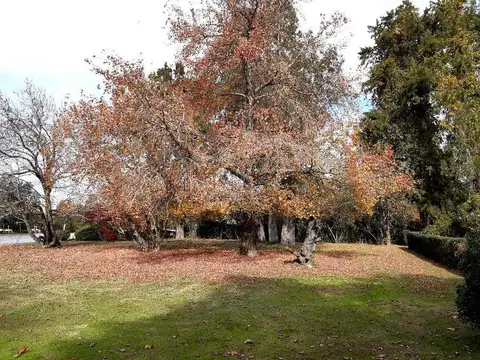 Rio o Arroyo Capitán Emma 100