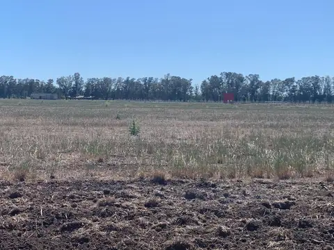 Venta de lote en General Rodríguez , B Los tres pinos