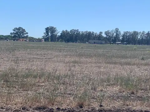 Terreno en Venta en Los Tres Pinos, USD 22.000