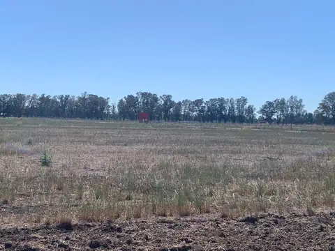 Terreno en Venta de 1018,0 m2