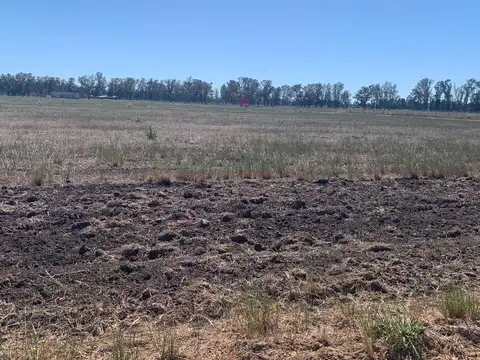 Terreno en Venta de 1018,0 m2