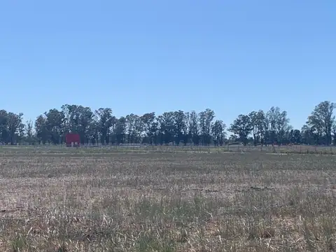 Venta de lote en General Rodríguez , B Los tres pinos