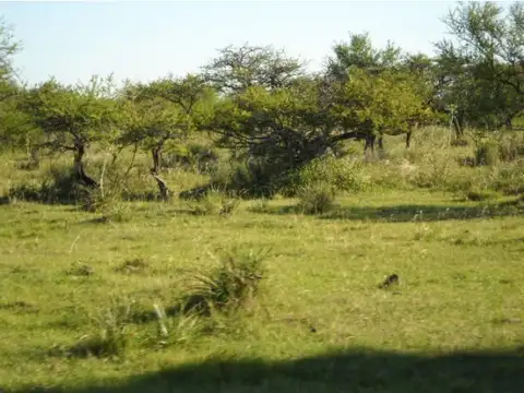 Campo en Venta de 700  ha