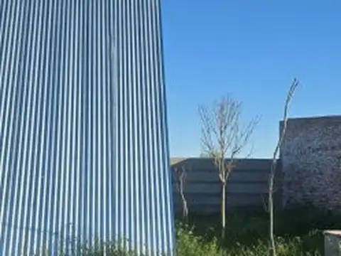 los pinos 3