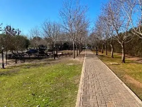 Venta De Lote Central En Santa Guadalupe - Pilar D