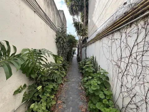 Rodriguez 57