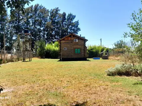 CIERVO DE LOS PANTANOS Y DE LAS GALLARETAS 1 (7130), Chascomús, Buenos Aires, Argentina