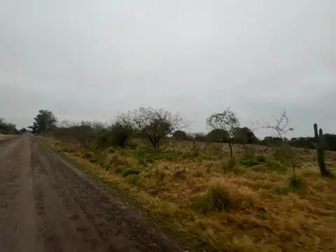 Ruta Provincial 57 Sauce