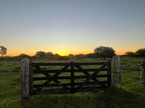 Campo en Venta en Sauce, Concepción