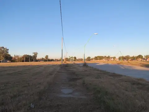 Maletti y 4 de enero