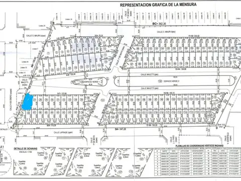 Se vende lote de 369 m2 Santo Tomé