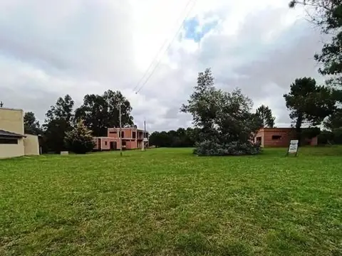 Avenida Del Buen Orden