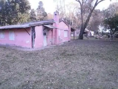 Campo en Alquiler Mixto