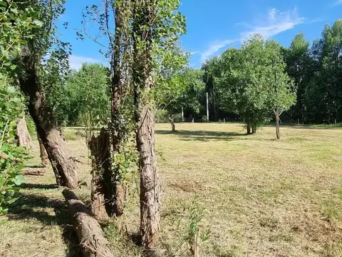 Terreno en Venta de 1604,0 m2