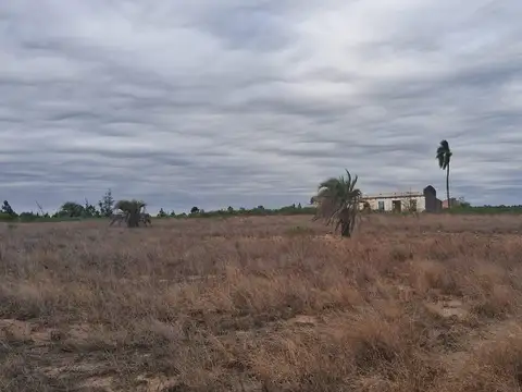 Campo en Osvaldo Magnasco