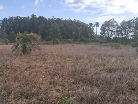 Campo en Osvaldo Magnasco