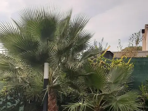 Casa en Venta en Coronel Dorrego, USD 310.000