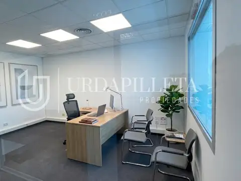 Paralelo 50 Pilar