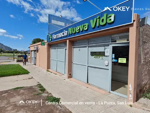 Complejo de 5 Locales en Venta en La Punta 100