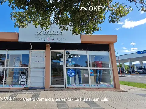 Complejo de 5 Locales en Venta en La Punta 100