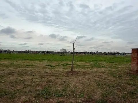 San Pablo Chico, Pilar. 100