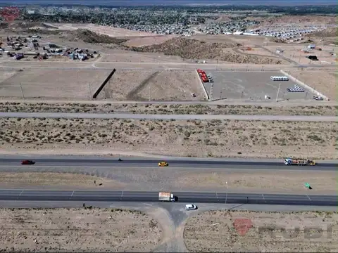 Terreno en Alquiler de 10000,0 m2