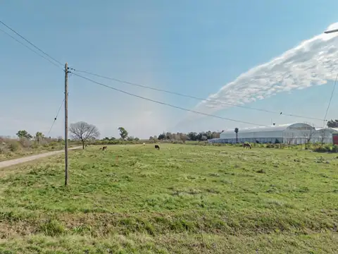 Terreno de 2.500m² y posibilidad de lindero, a pasos de la Autopista