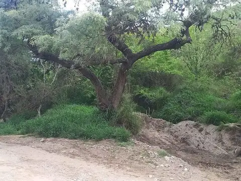 Terreno en Venta de 1269,0 m2