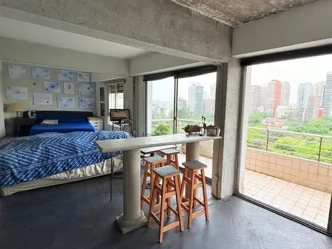 VENTA DEPARTAMENTO 4 AMBIENTES, HECHO LOFT, FRENTE AL PARQUE LAS HERAS, PALERMO