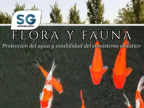 Funes Lakes Barrio Privado