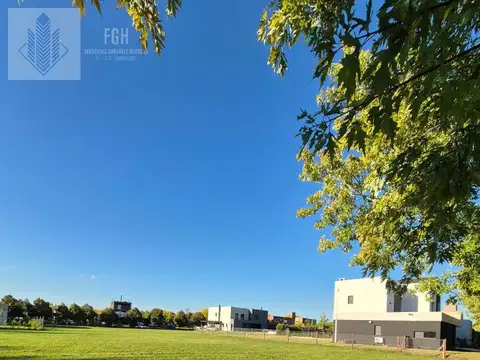 Lote interno El Cazal