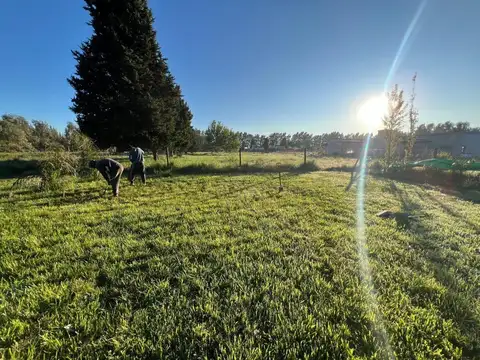 Terreno en venta - 1.400Mts2 - San Vicente