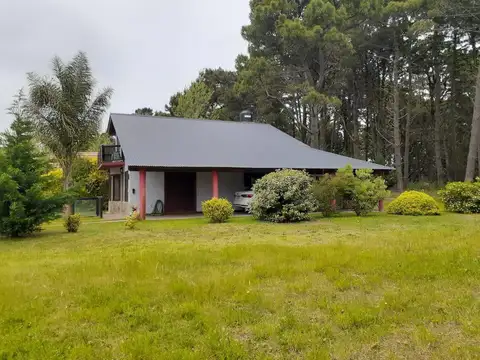 Los Crisantelmos 100