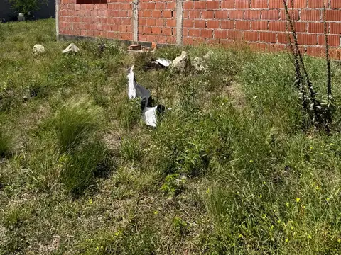 Francisco Narciso de Laprida 300