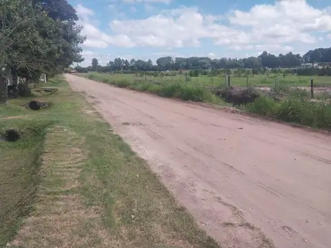 Mendoza Bis 400