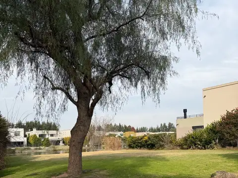 Avenida de los constituyentes al 2300