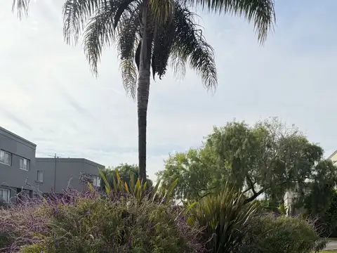 Terreno en Venta de 744,0 m2