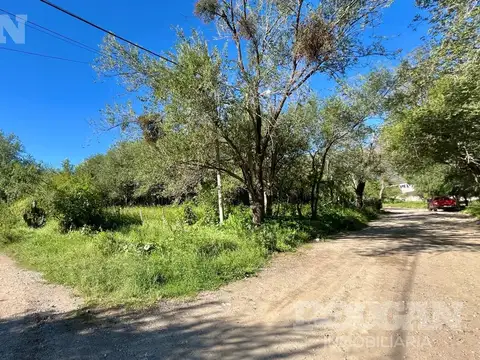 Petunia & Av. Pedernera