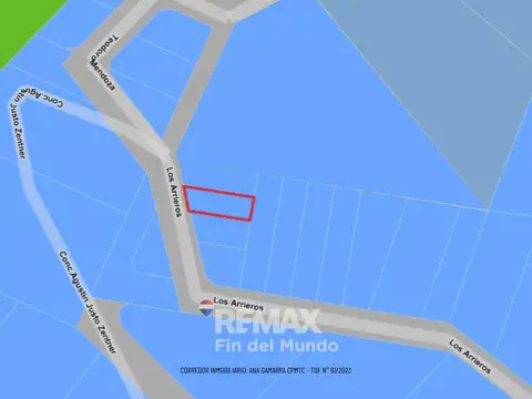 Los Arrieros 100