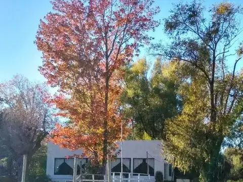  Isla Del Tigre 9.358 M2 En 1° Seccion Paso Del Toro