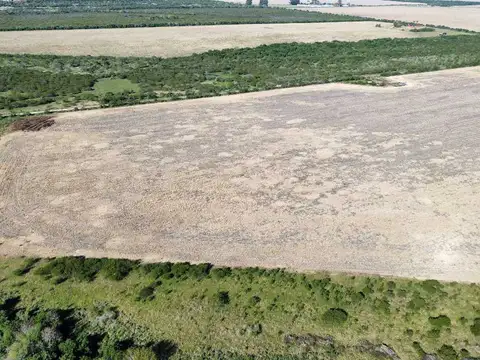 Vendo Campo de 90 Has en Colonia Elía, Entre Ríos