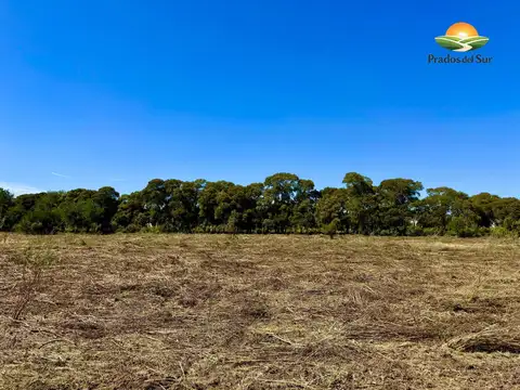 Terreno en Longchamps