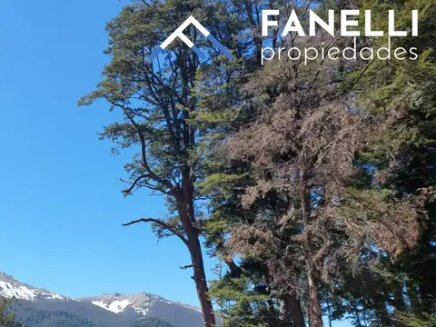 Terreno en Venta en Villa Correntoso, Villa la Angostura