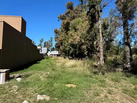 TERRENO EN NUEVO LORETO