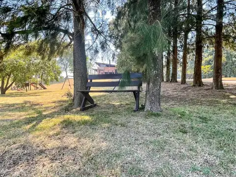 Azahares del Paraná