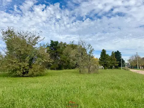 Venta · Lote 1500 m2 · En esquina · Parque Sakura III