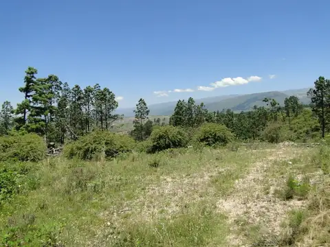 Terreno en Venta en La Cumbrecita, USD 135.000