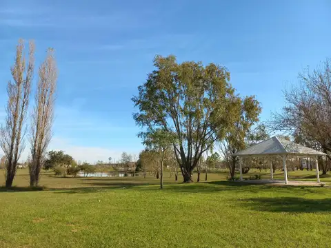 Terreno en Venta 40  mts Fondo